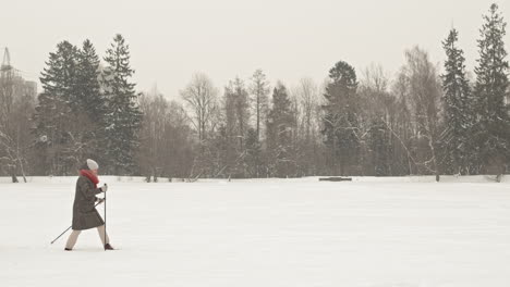 couple nordic walking in a snowy park