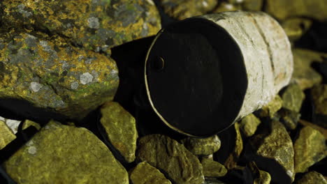 metal can resting among colorful rocks on a riverbank near sunset