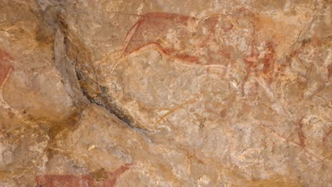 diagonal pan tilt on sandstone rock wall to ancient rock art eland