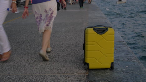 suitcase on wheels stands on promenade