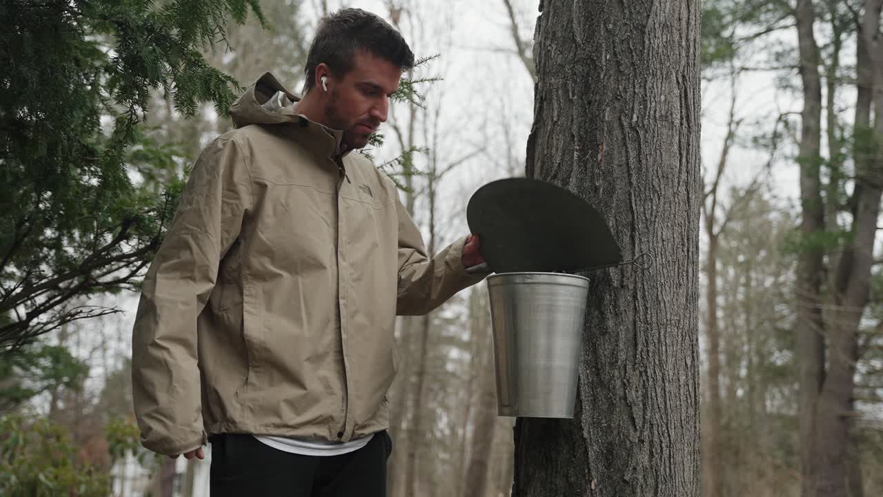 Man walk up to maple tree, lifts lid to check on the tap bucket then continues through the woods