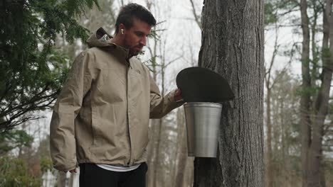 el hombre camina hasta el arce, levanta la tapa para comprobar el cubo del grifo y luego continúa a través del bosque