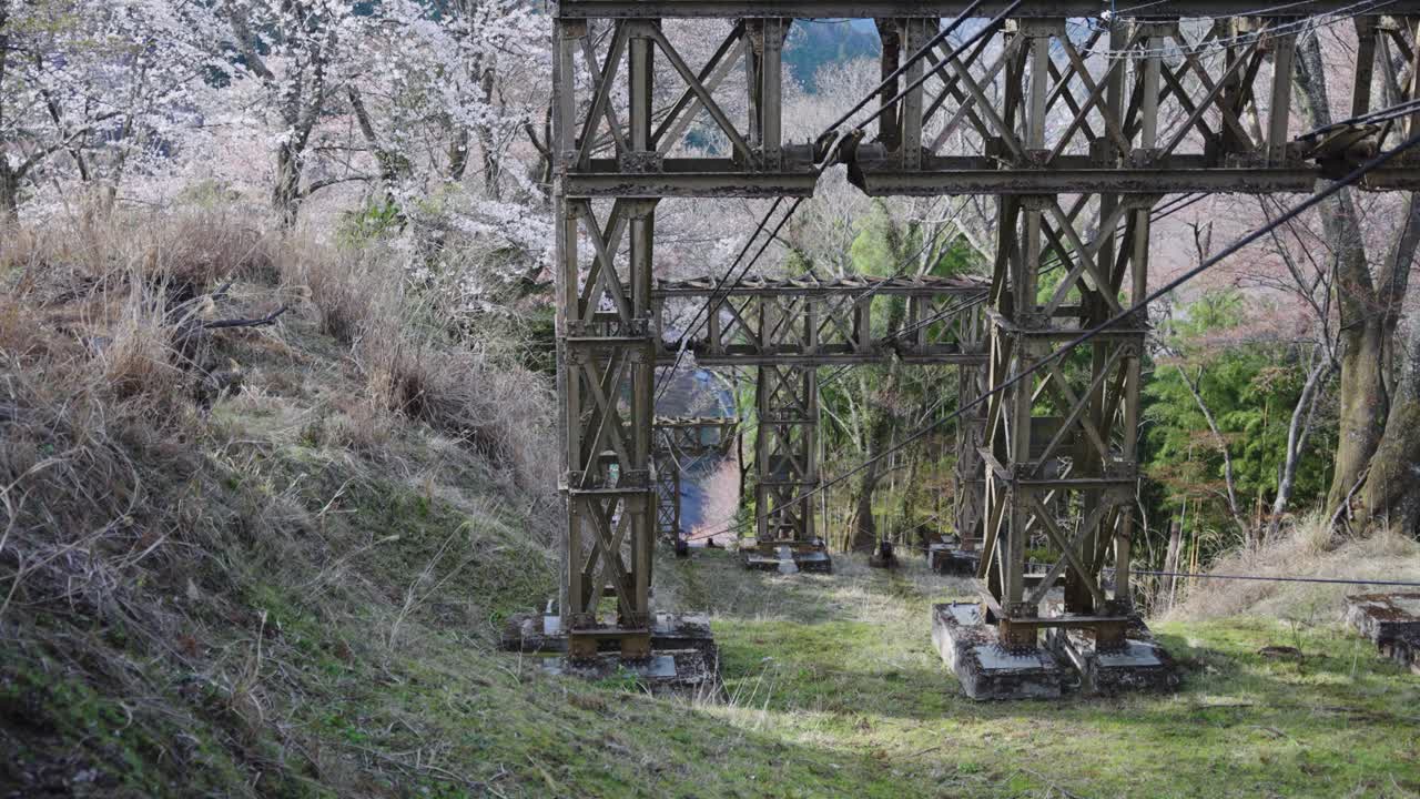 요시노 산의 오래된 녹슨 로프웨이, 따뜻한 봄날의 분홍색 벚나무