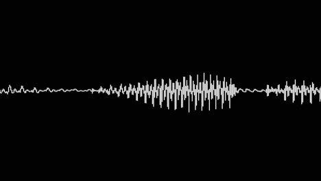 un simple efecto de visualización de audio en blanco y negro-41