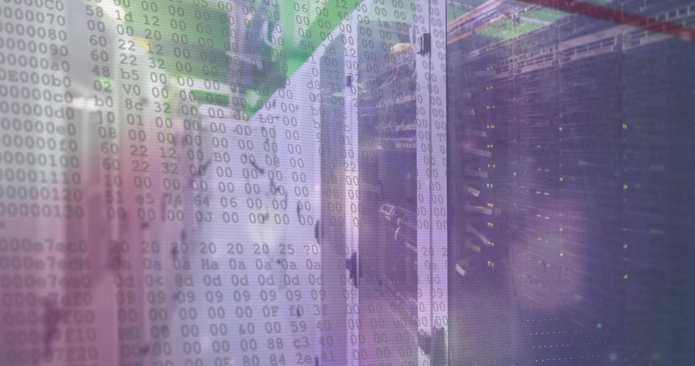 Animazione dell'elaborazione dati su server di computer