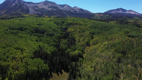 vista aérea de colinas cubiertas de árboles verdes brillantes que conducen a los picos de las montañas en la distancia cerca de crested butte colordao