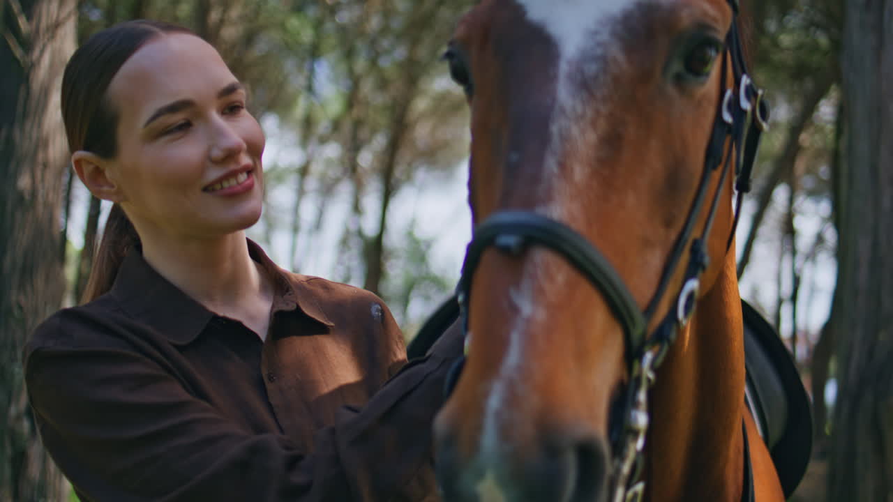 Female jockey strolling horse at sunshine woodland closeup. Cowgirl walking