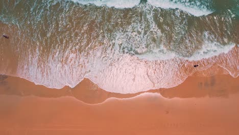 Aerial-topdown-view-along-sand-beach-shore,-Natal