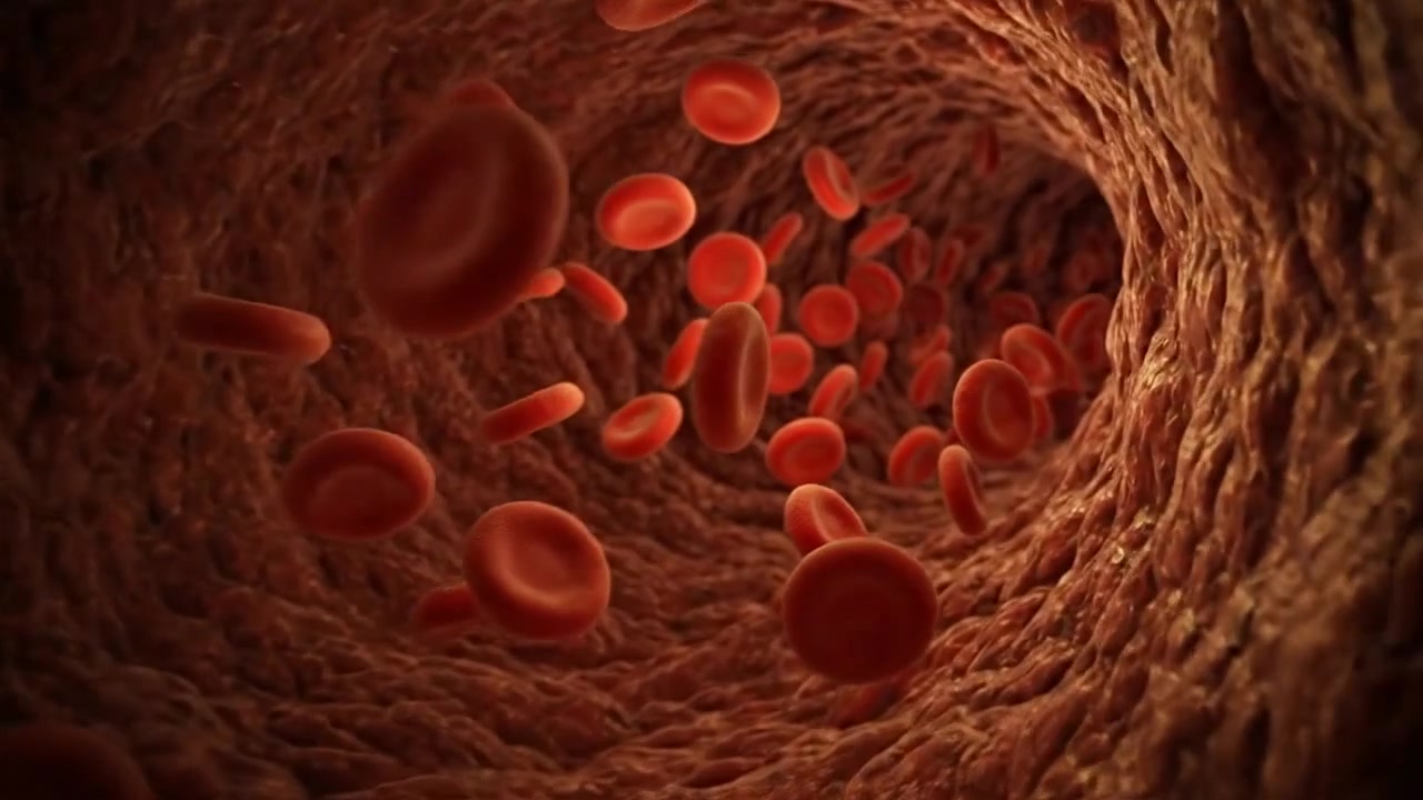 Microscopic view of blood cells in vessels