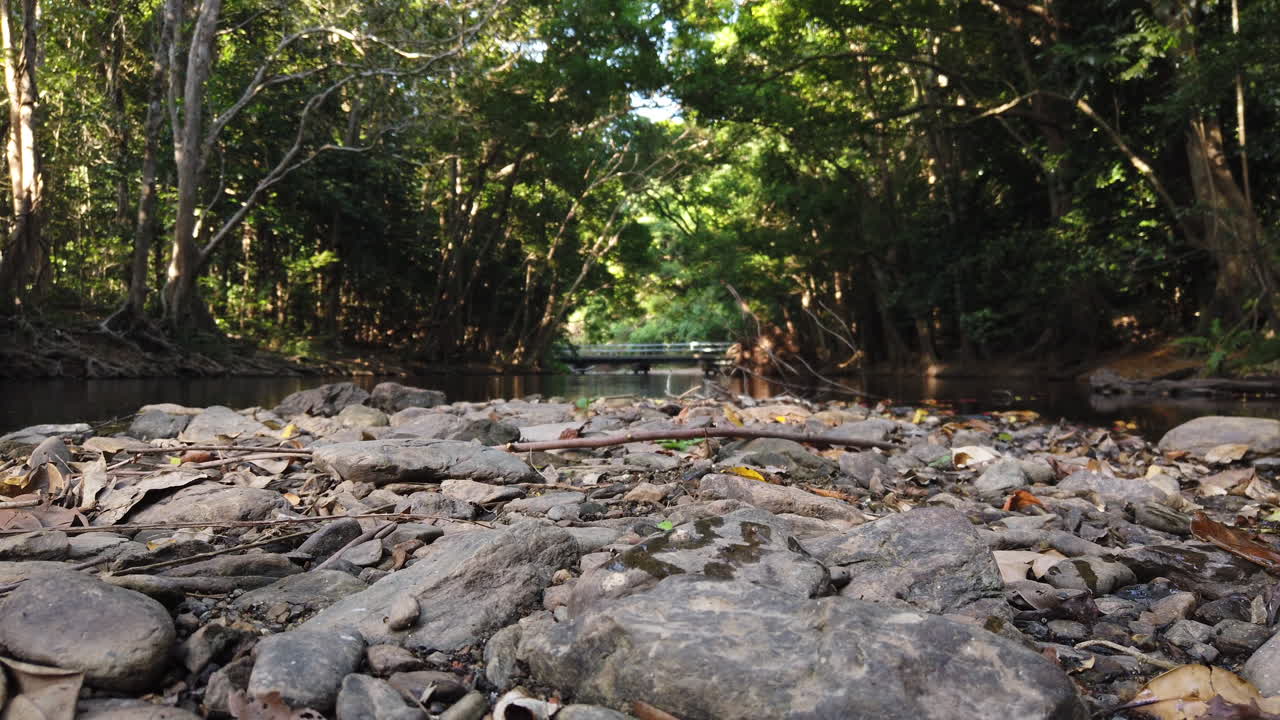 footstep in front of camera closeup slow motion with beautiful creek in the background