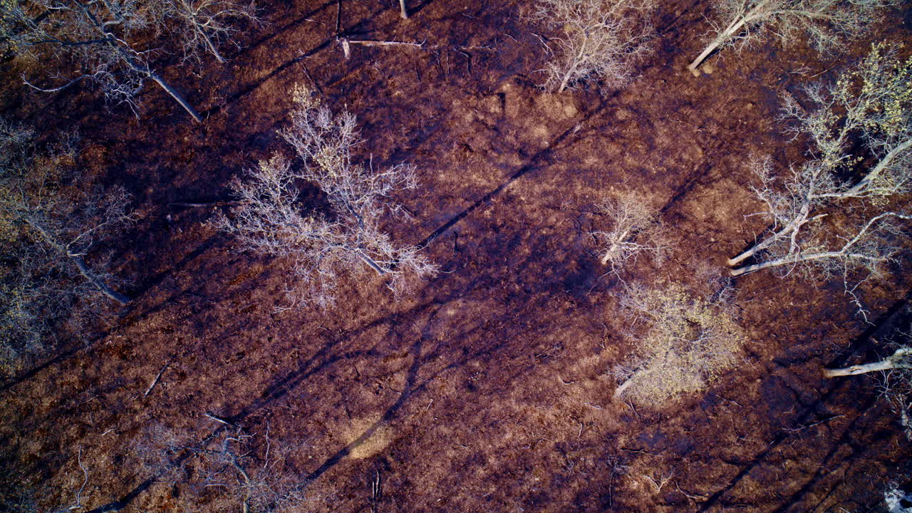 Footage of a drone soaring across vast burned land.