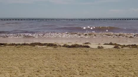 algas y olas en una bonita playa de arena