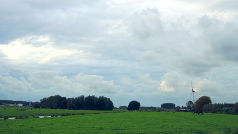 Tiro-De-Lapso-De-Tiempo-Del-Paisaje-Holandés-Rural-Con-Caballos-En-Pradera,-Corriente-Y-Cloudscape-En-Movimiento