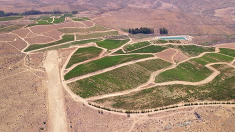 Umlaufende-Luftaufnahme-über-Fray-Jorge,-Limari-Tal-Mit-Weinbergen-In-Der-Nähe-Des-Ozeans-In-Chile