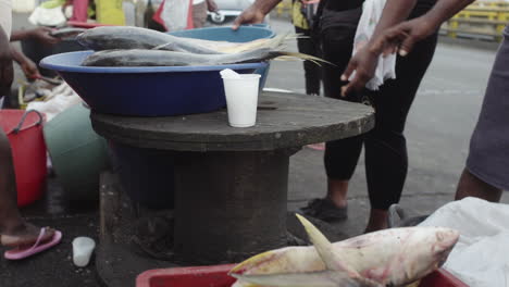 close up of fishes at street fish market, people selling and buying the catch of the day in buenaventura