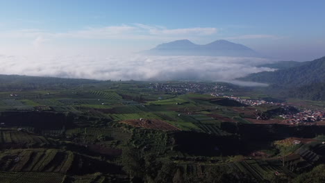beautiful view of the vegetable garden in brakseng hill, east java.  aerial view of carrot garden at the foot of mount welirang