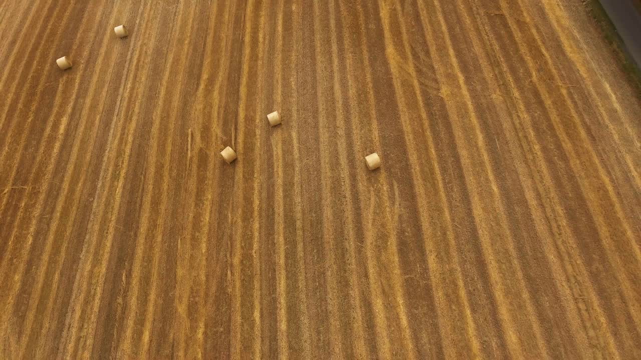 농업 분야 위의 드론 비행