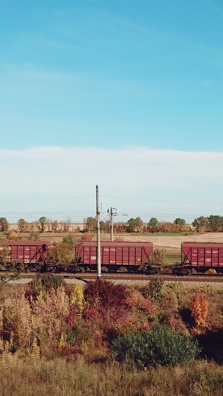 carriages of freight train are passing by rail in the field on the background of buildings of countryside in the summer. Vertical video