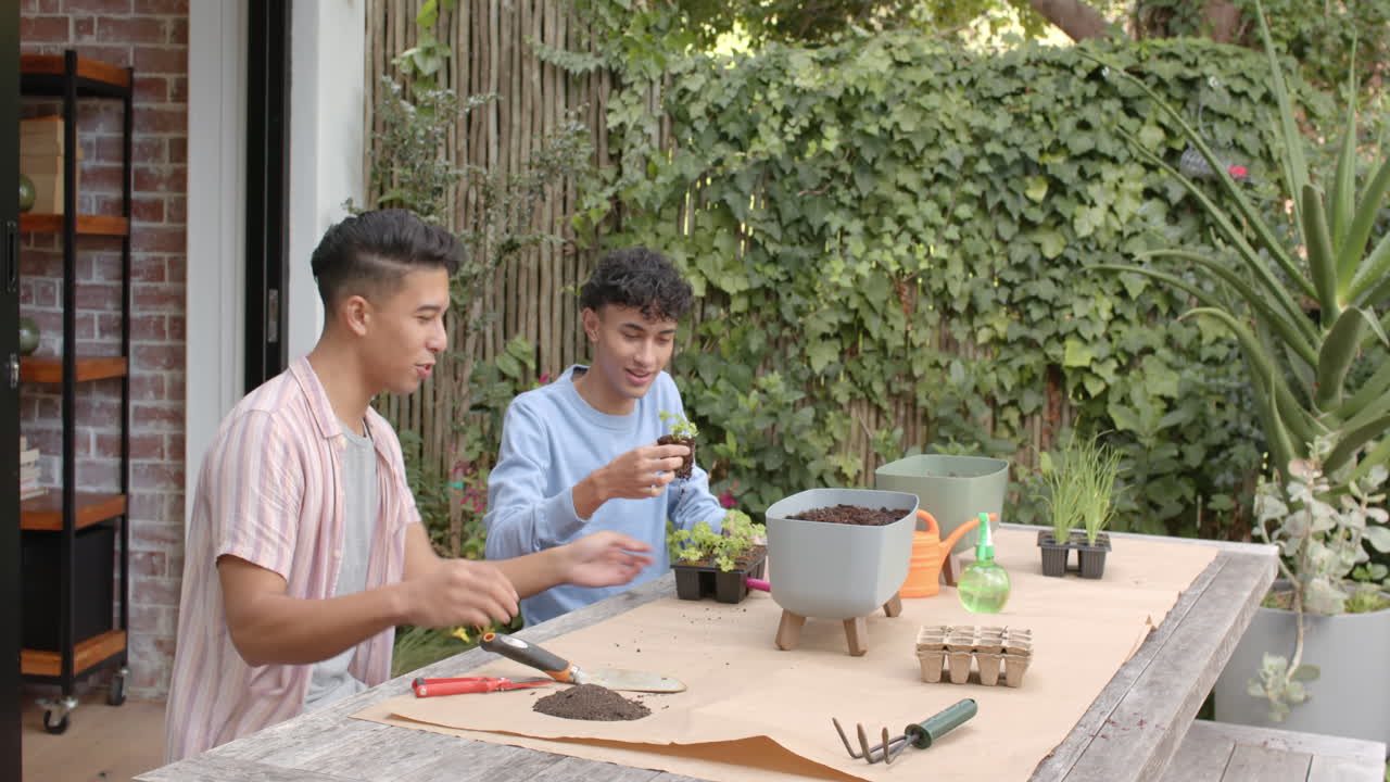 Planting, multiracial gay couple enjoying gardening with various tools and potted plants, copy space