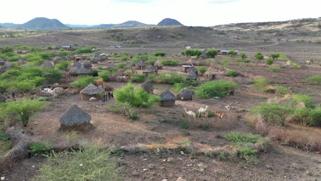 Desert-kenya,-africa-landscape-of-a-camels-from-the-air-in-the-daytime-on-a-hot-summer-day