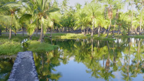 Woman Photographer at Mauna Lani Fish Ponds, Hawaii