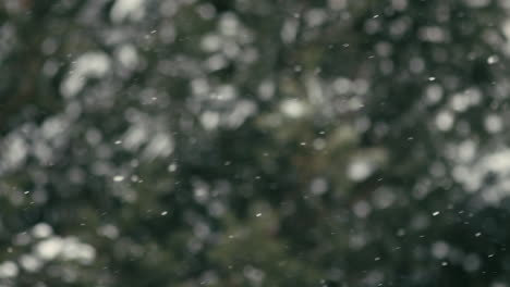 Slow motion snow falling sideways in front of blurred green background