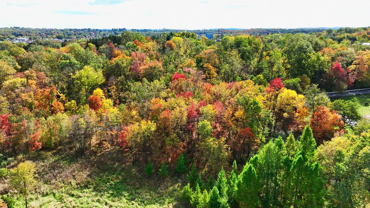Gorgeous autumn foliage fills the landscape, displaying a variety of warm colors. Trees stand tall in harmony, creating a peaceful atmosphere.