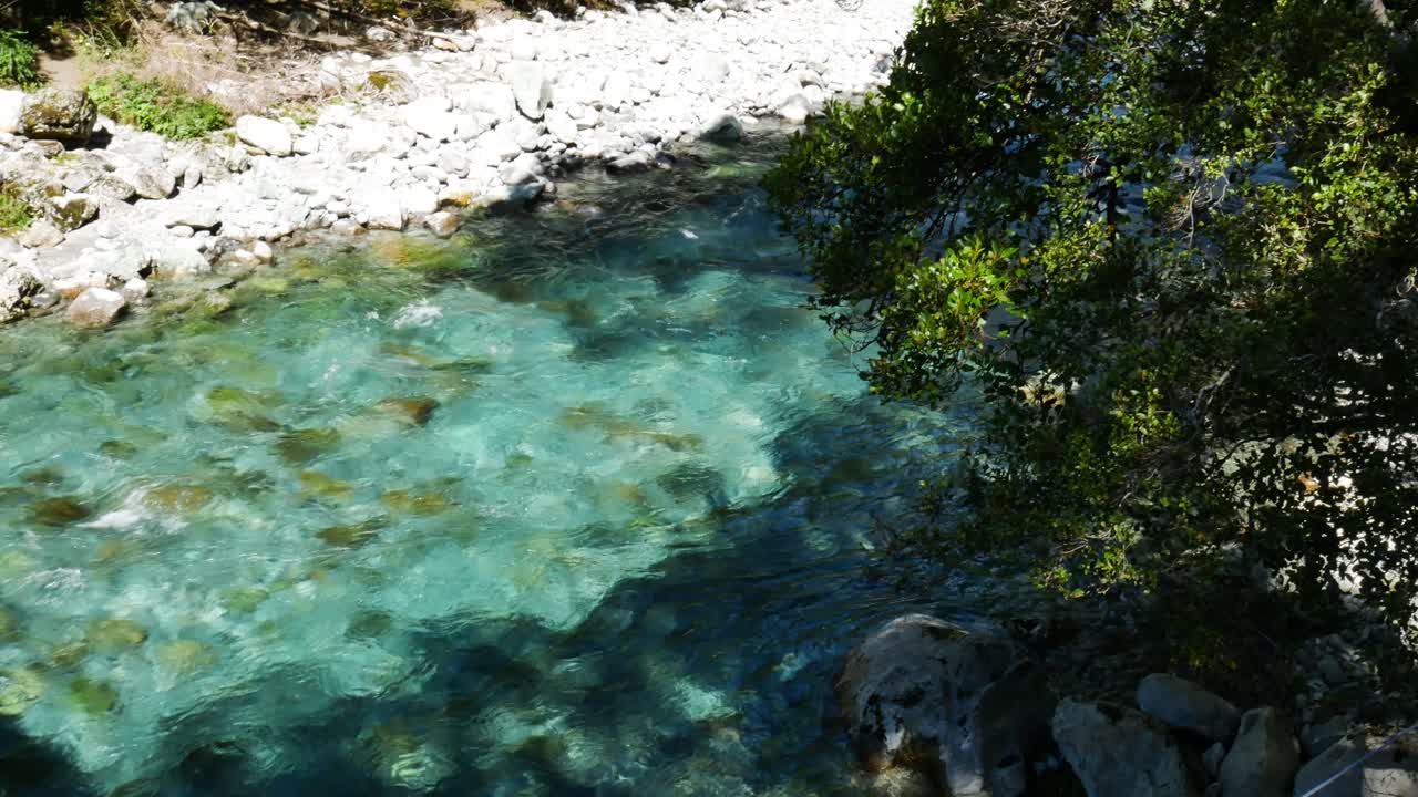 Fiume tranquillo e cristallino vicino al Lago Marian in una giornata di sole nella giungla - Escursionismo nel Parco Nazionale di Fiordland - Primo piano dall'alto