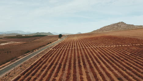 Granja-De-Agricultores-Para-Que-Puedas-Comer