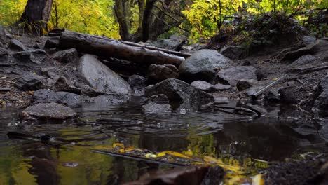 lluvia cayendo sobre un charco