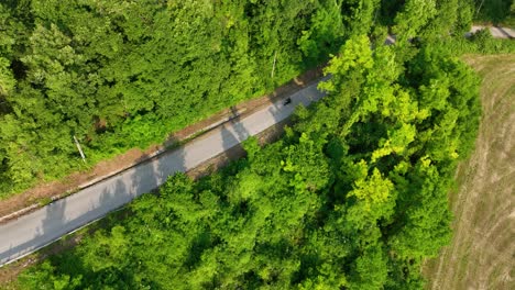 motorcycle riding through forest road