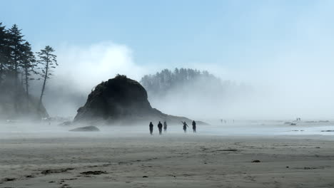 distant silhouette of people walking on a foggy beach with rock formations, sand, and trees