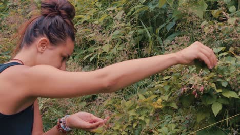 Mujer-Recogiendo-Bayas-En-El-Bosque