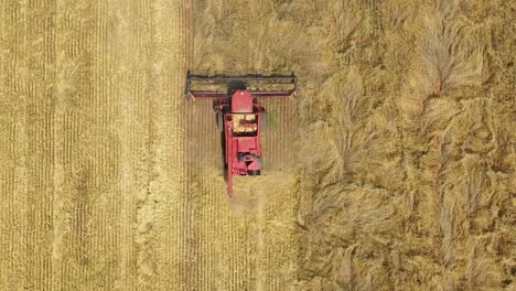 An-Excellent-Overhead-Shot-Of-A-Farming-Combine-Cutting-Through-A-Field-In-Parkes,-New-South-Wales,-Australia