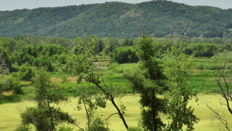 trempealeau national wildlife refuge with green mountain in the background