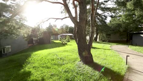 Modern Vacation Homes in a Green Setting