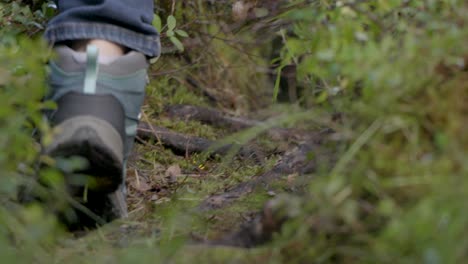 a person on a trail