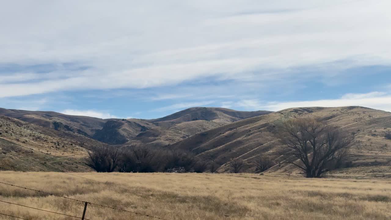 A serene drive through New Zealand's countryside, showcasing rolling hills, sparse trees, and open fields under a cloudy sky