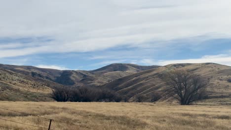 a serene drive through new zealand's countryside, showcasing rolling hills, sparse trees, and open fields under a cloudy sky