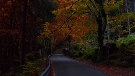 Vista-Aérea-Del-Carro-De-La-Sinuosa-Carretera-Vacía-A-Través-De-Los-Bosques-Otoñales-De-Color-Rojo-Anaranjado-Del-Bosque-De-Bagni-Di-Masino