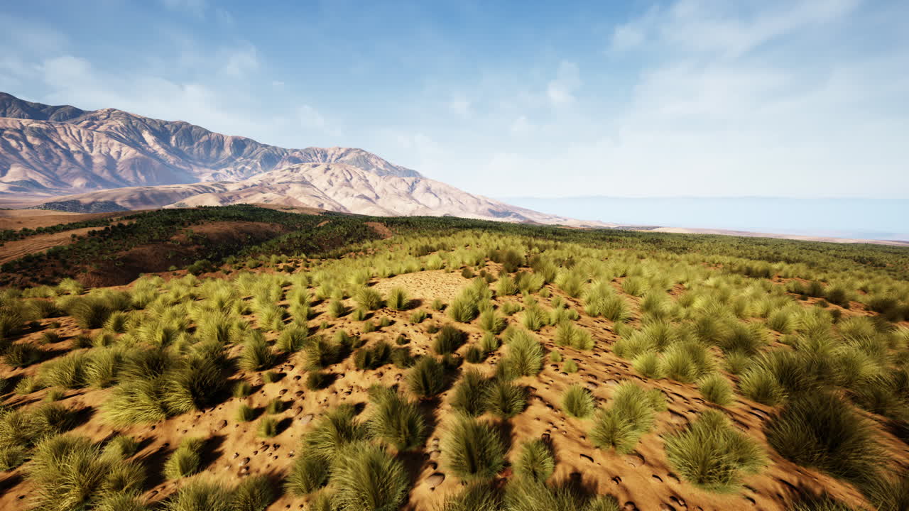 멀리서 산이 있는 잔디의 넓은