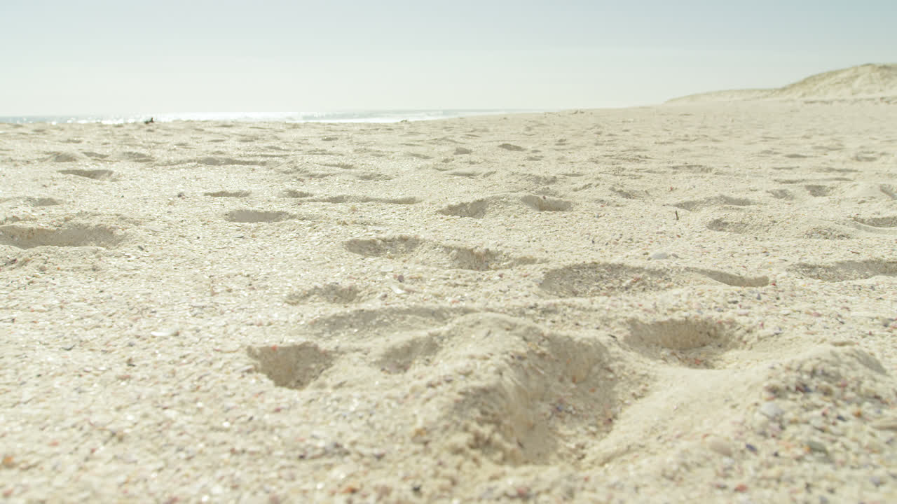 서퍼와 서프보드가 해변에서 4km를 달리고 있습니다.