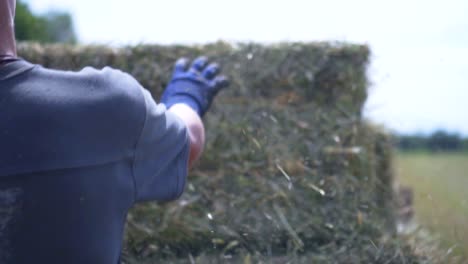 farmer boy tosses hay bale onto wagon close up slow motion