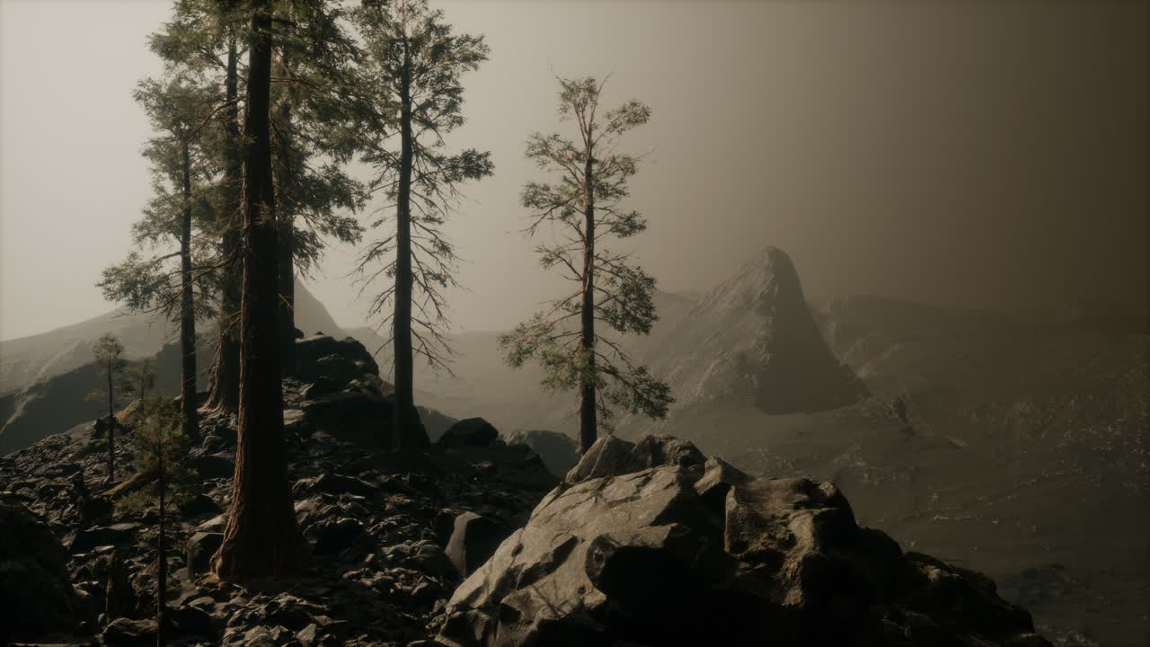 árboles en la niebla en las montañas