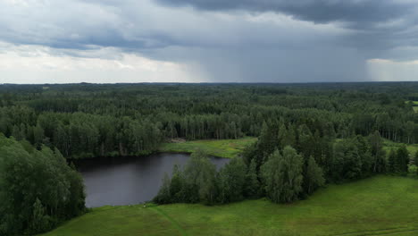 Wasserteich-Um-Fichtenwald,-Luftaufnahme-Im-Zeitraffer,-Starker-Wind-Bewegt-Wolken