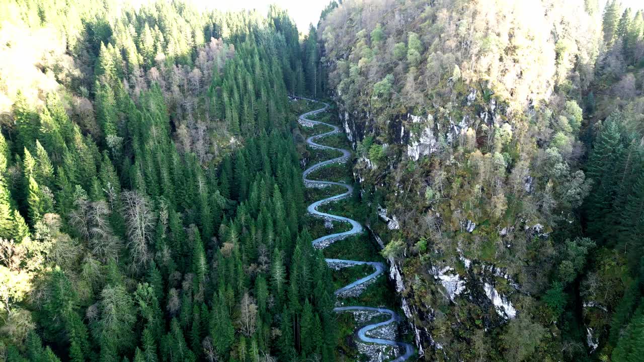 The video shows a serpentine road in the mountains and a forest, the view is from a high angle
