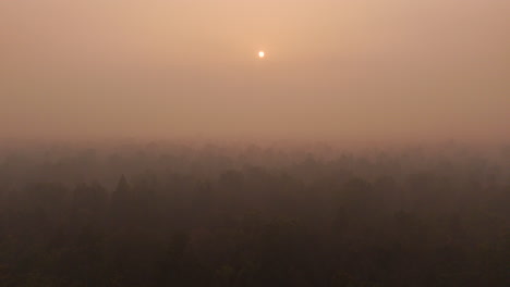 Drone-Viaja-Al-Bosque-Salvaje-Con-Niebla-Y-Humo-En-La-Región-De-Terai-Nepal