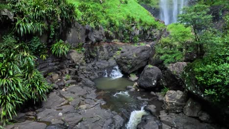 cascada que fluye a través de un paisaje de bosque verde y exuberante