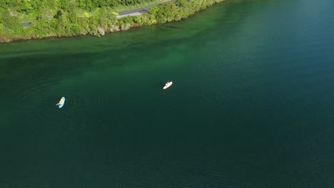 Blue-lake,-palm-forest-road-and-tourist-on-paddle-bord-4k-drone-shot-in-New-Zealand