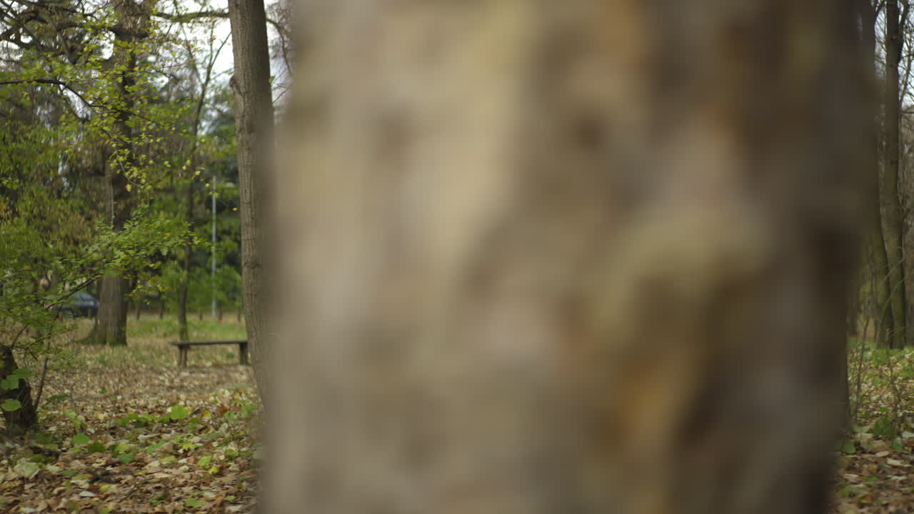 Older couple walking in the park during autumn